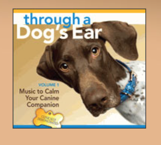 photo: through a Dog's Ear